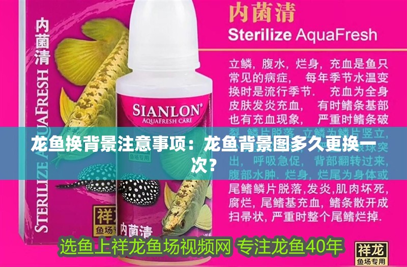 龍魚換背景注意事項：龍魚背景圖多久更換一次？
