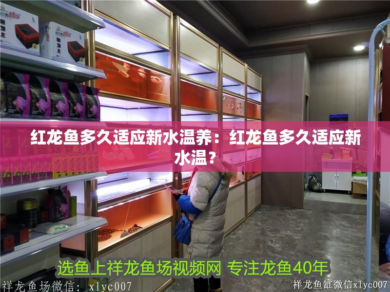 紅龍魚多久適應新水溫養：紅龍魚多久適應新水溫？