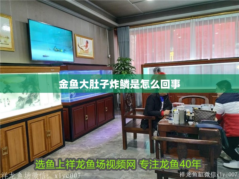 金魚大肚子炸鱗是怎么回事