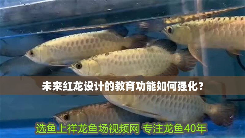 未來紅龍?jiān)O(shè)計(jì)的教育功能如何強(qiáng)化？