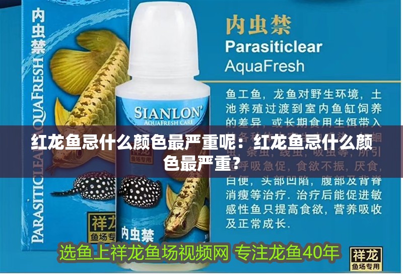紅龍魚忌什么顏色最嚴重呢：紅龍魚忌什么顏色最嚴重？