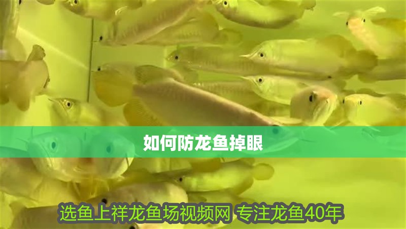 魚(yú)缸過(guò)濾器選購(gòu)指南:自制魚(yú)缸過(guò)濾器魚(yú)缸上置過(guò)濾器對(duì)于養(yǎng)魚(yú)愛(ài)好者的必備知識(shí) 如何防龍魚(yú)掉眼 龍魚(yú)百科 如何防龍魚(yú)掉眼 如何防龍魚(yú)掉眼 龍魚(yú)百科