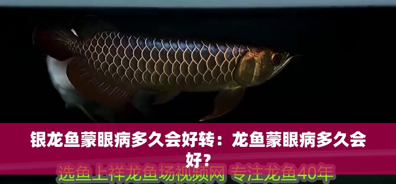 銀龍魚蒙眼病多久會好轉：龍魚蒙眼病多久會好？