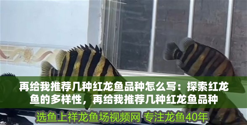 再給我推薦幾種紅龍魚品種怎么寫：探索紅龍魚的多樣性，再給我推薦幾種紅龍魚品種