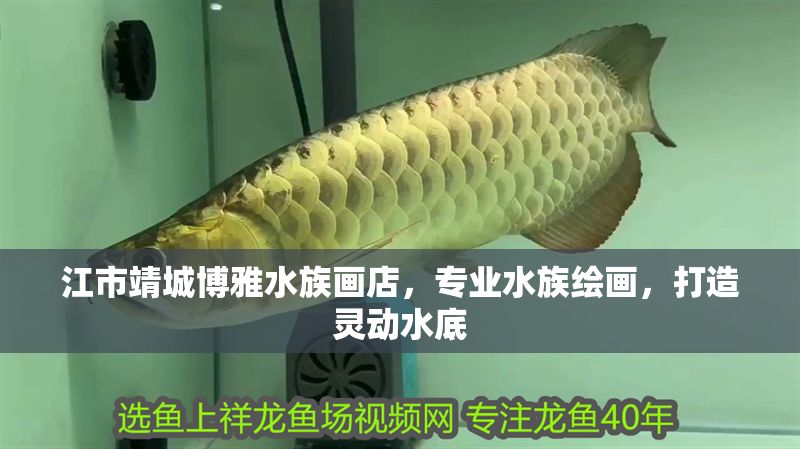 江市靖城博雅水族畫店，專業水族繪畫，打造靈動水底