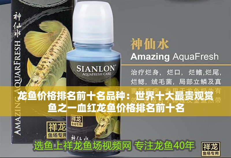 龍魚價格排名前十名品種：世界十大最貴觀賞魚之一血紅龍魚價格排名前十名
