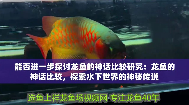 能否進(jìn)一步探討龍魚的神話比較研究：龍魚的神話比較，探索水下世界的神秘傳說