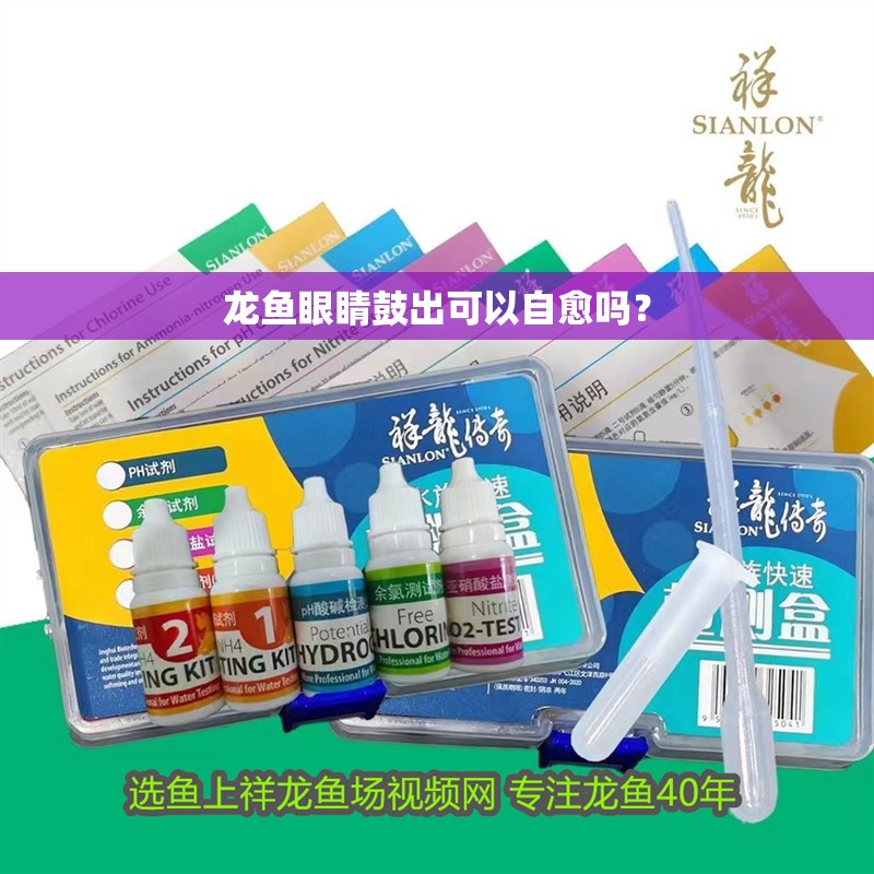 龍魚眼睛鼓出可以自愈嗎？ 龍魚眼睛鼓出可以自愈嗎？ 龍魚百科