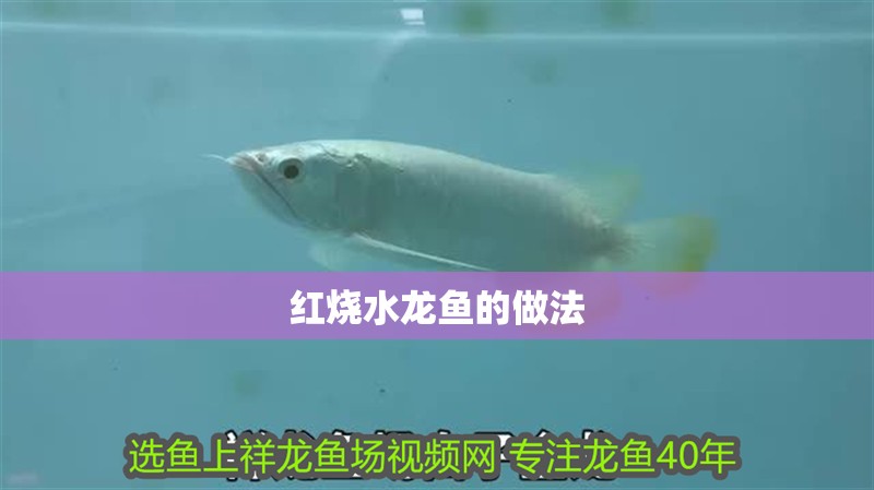 紅燒水龍魚的做法