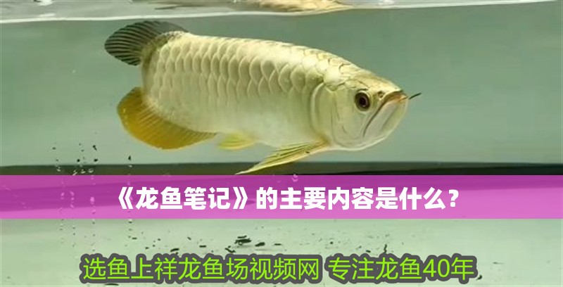 《龍魚筆記》的主要內(nèi)容是什么？