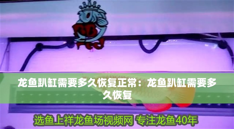 龍魚趴缸需要多久恢復正常：龍魚趴缸需要多久恢復