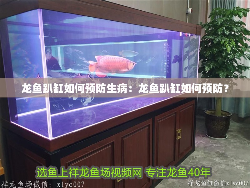 龍魚趴缸如何預(yù)防生?。糊堲~趴缸如何預(yù)防？