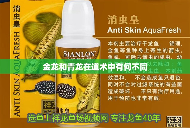 金龍和青龍在道術中有何不同