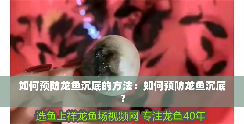 如何預防龍魚沉底的方法：如何預防龍魚沉底？