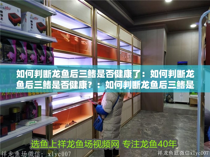如何判斷龍魚后三鰭是否健康了：如何判斷龍魚后三鰭是否健康？：如何判斷龍魚后三鰭是否健康的重要指標，龍魚的健康狀況