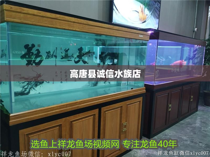 高唐縣誠信水族店