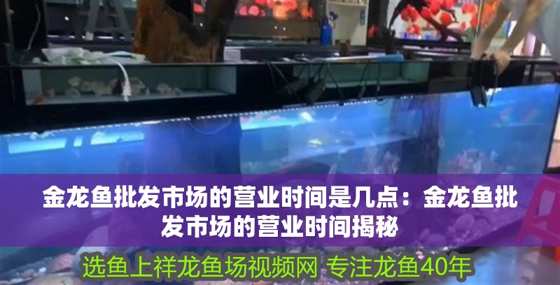 金龍魚批發(fā)市場(chǎng)的營(yíng)業(yè)時(shí)間是幾點(diǎn)：金龍魚批發(fā)市場(chǎng)的營(yíng)業(yè)時(shí)間揭秘