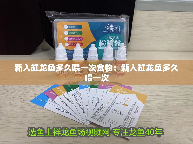 新入缸龍魚多久喂一次食物：新入缸龍魚多久喂一次