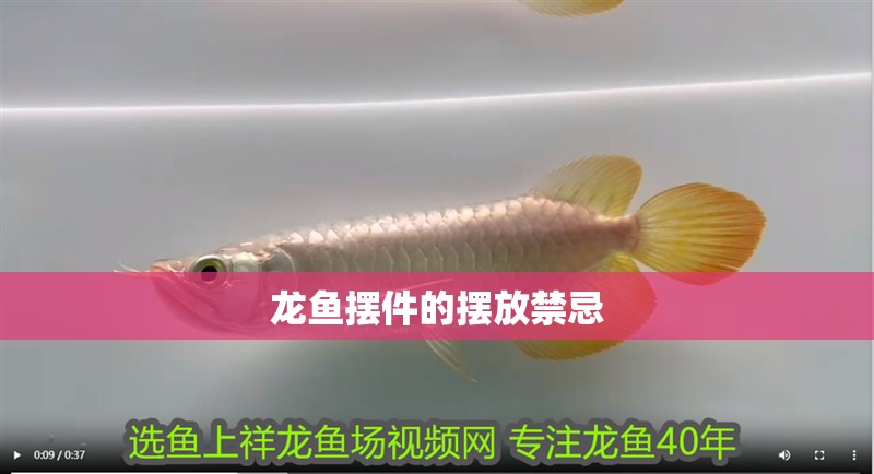 龍魚擺件的擺放禁忌