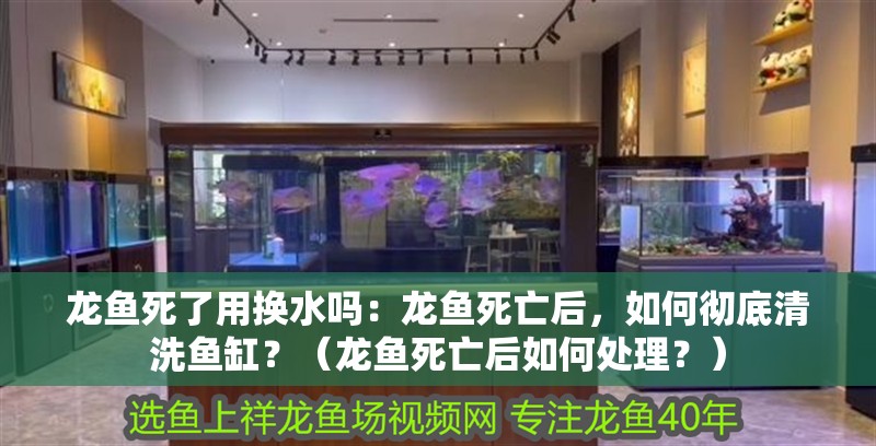 龍魚死了用換水嗎：龍魚死亡后，如何徹底清洗魚缸？（龍魚死亡后如何處理？）