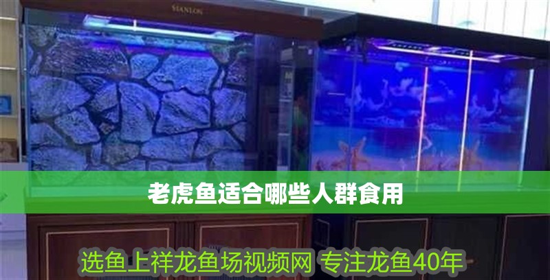 老虎魚適合哪些人群食用 老虎魚適合哪些人群食用 龍魚百科