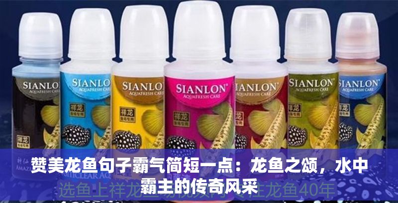 贊美龍魚句子霸氣簡短一點：龍魚之頌，水中霸主的傳奇風(fēng)采