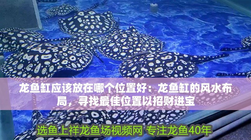 龍魚(yú)缸應(yīng)該放在哪個(gè)位置好：龍魚(yú)缸的風(fēng)水布局，尋找最佳位置以招財(cái)進(jìn)寶