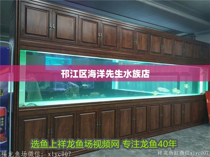 邗江區(qū)海洋先生水族店