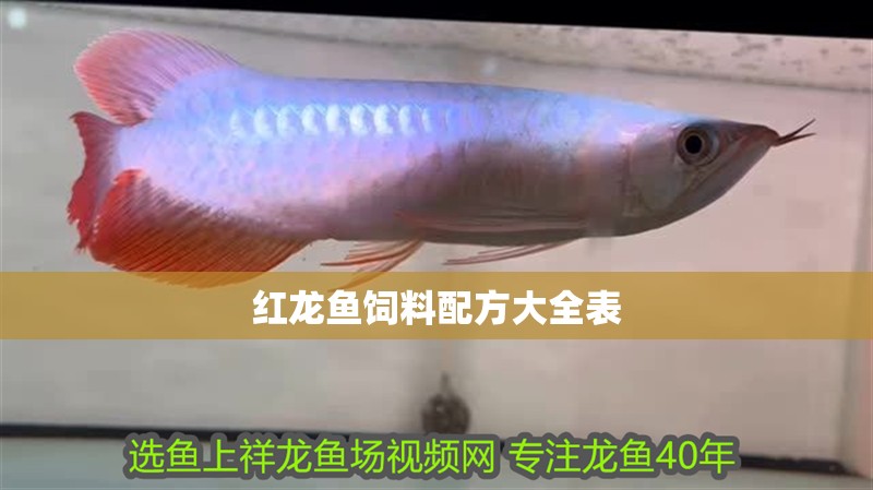 紅龍魚飼料配方大全表