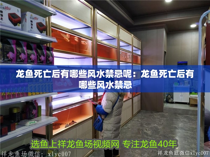 龍魚死亡后有哪些風(fēng)水禁忌呢：龍魚死亡后有哪些風(fēng)水禁忌