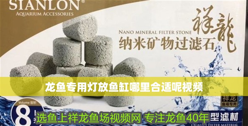 龍魚專用燈放魚缸哪里合適呢視頻