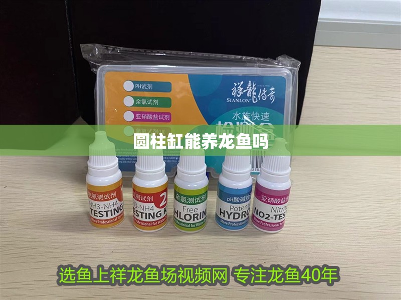 圓柱缸能養(yǎng)龍魚嗎