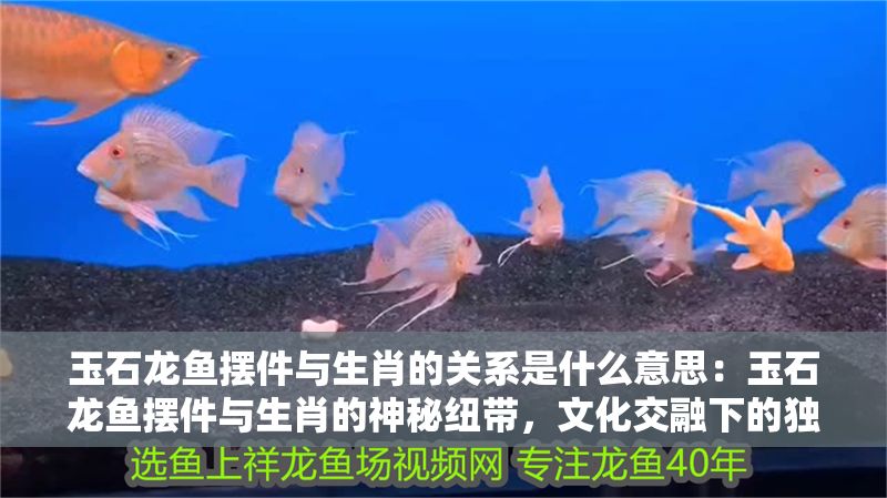 玉石龍魚擺件與生肖的關系是什么意思：玉石龍魚擺件與生肖的神秘紐帶，文化交融下的獨特象征