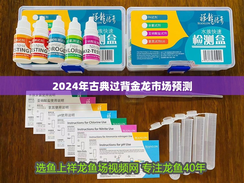 2024年古典過背金龍市場預測