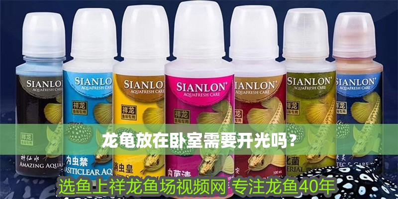 龍龜放在臥室需要開光嗎？