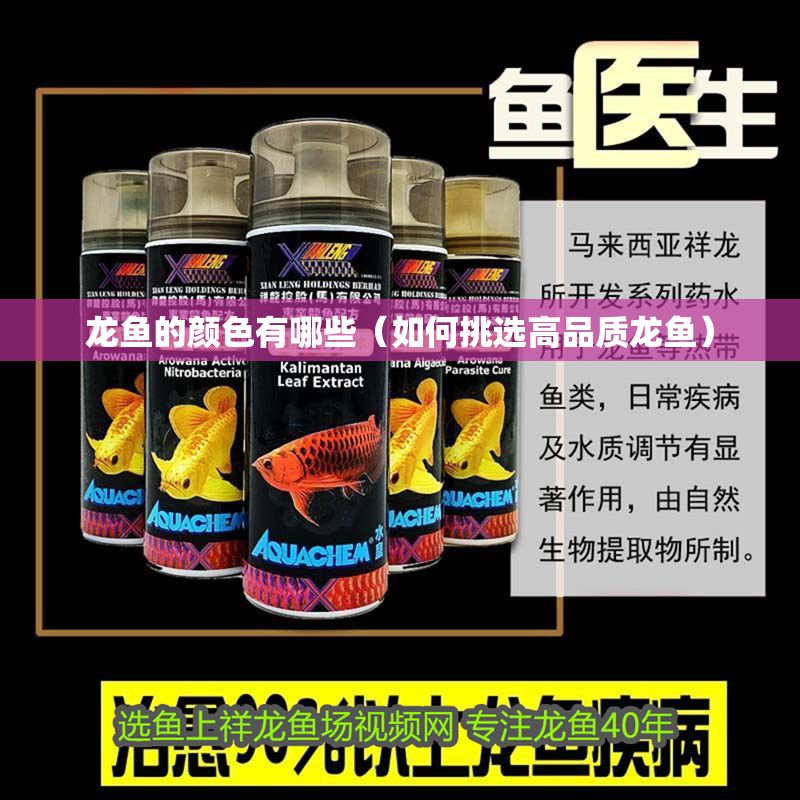 龍魚的顏色有哪些（如何挑選高品質龍魚） 龍魚的顏色有哪些（如何挑選高品質龍魚） 龍魚百科 第2張