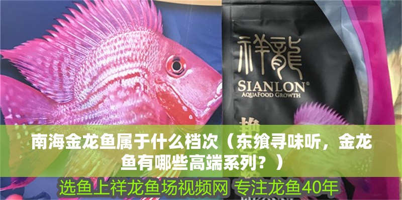 <strong><mark>南海</mark></strong>金龍魚屬于什么檔次（東饗尋味聽，金龍魚有哪些高端系列？）