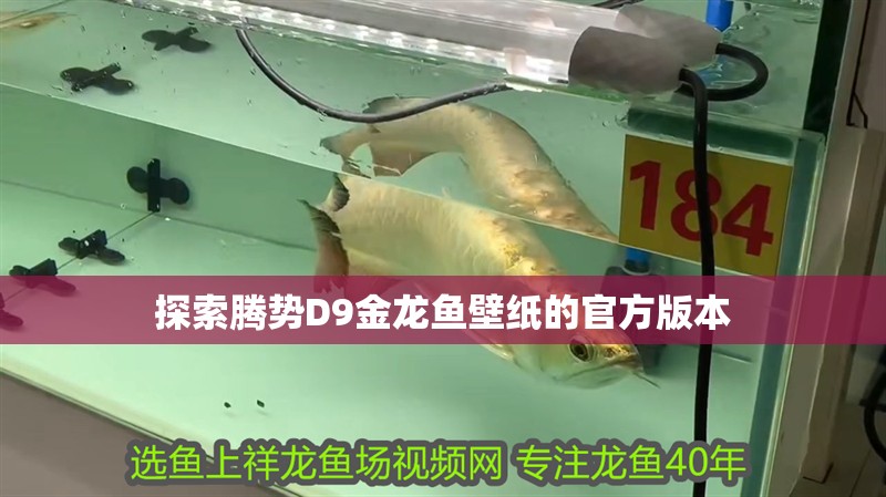探索騰勢D9金龍魚壁紙的官方版本