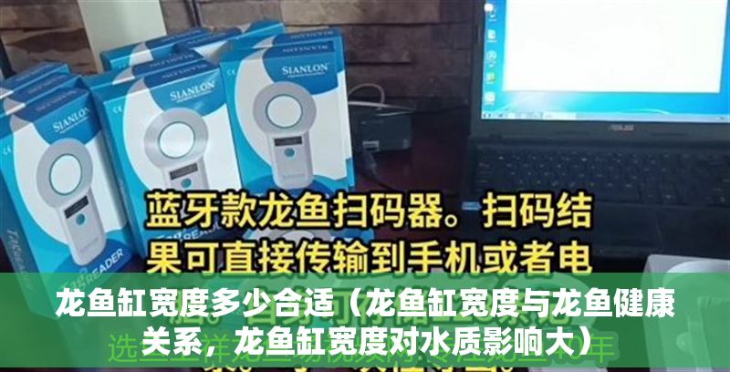 龍魚缸寬度多少合適（龍魚缸寬度與龍魚健康關系，龍魚缸寬度對水質影響大）