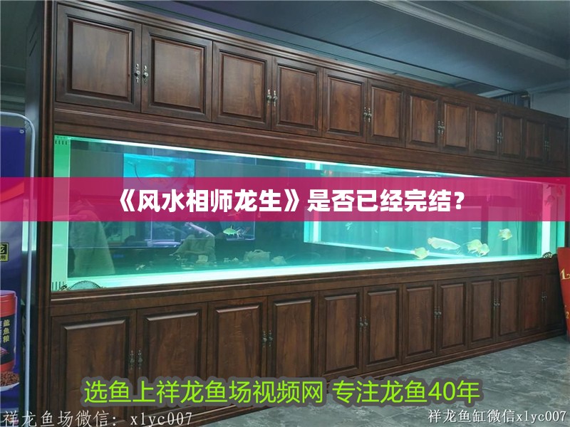 《風水相師龍生》是否已經完結？ 《風水相師龍生》是否已經完結？ 龍魚百科