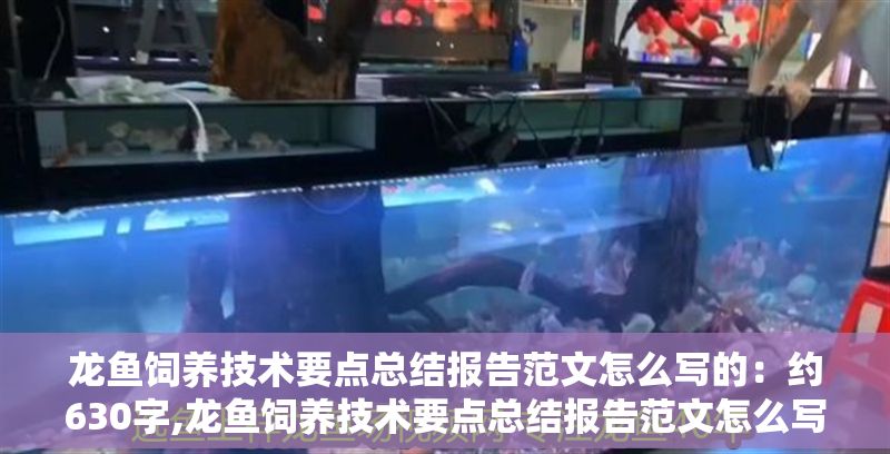 龍魚飼養技術要點總結報告范文怎么寫的：約630字,龍魚飼養技術要點總結報告范文怎么寫的