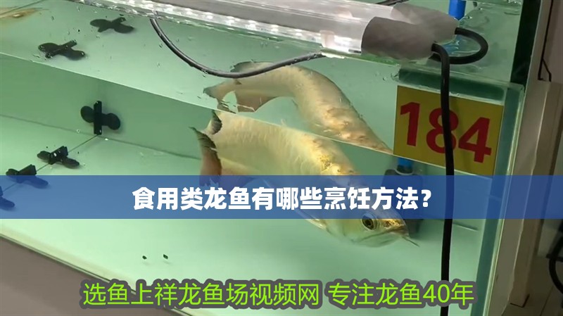 食用類龍魚有哪些烹飪方法？