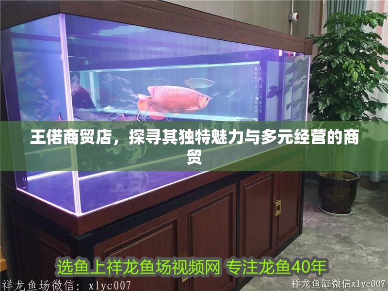 王偌商貿店，探尋其獨特魅力與多元經營的商貿