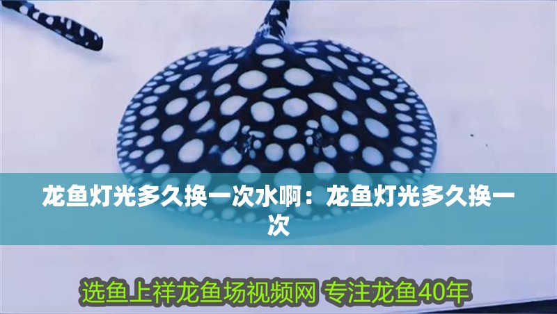 龍魚燈光多久換一次水?。糊堲~燈光多久換一次