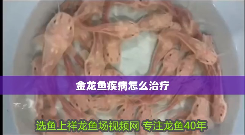 金龍魚疾病怎么治療