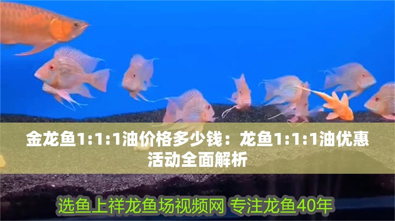金龍魚1:1:1油價(jià)格多少錢：龍魚1:1:1油優(yōu)惠活動(dòng)全面解析