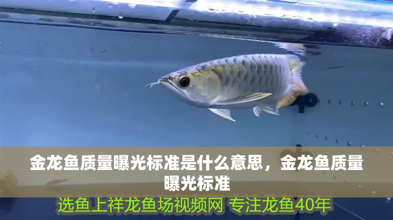金龍魚質量曝光標準是什么意思，金龍魚質量曝光標準