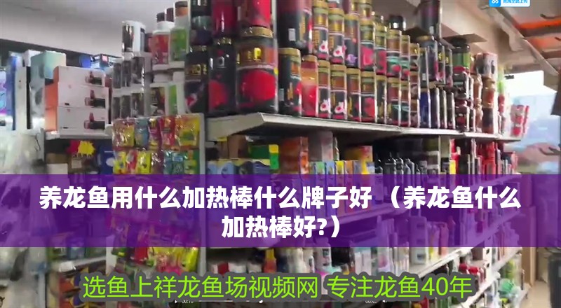 養(yǎng)龍魚(yú)用什么加熱棒什么牌子好 （養(yǎng)龍魚(yú)什么加熱棒好?）