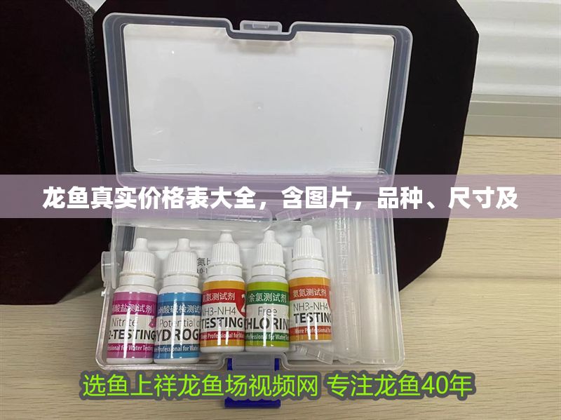 龍魚真實價格表大全，含圖片，品種、尺寸及
