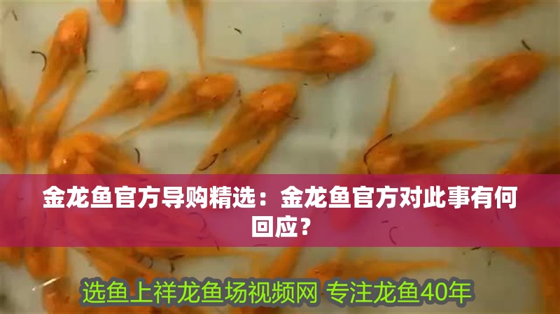 金龍魚官方導購精選：金龍魚官方對此事有何回應？